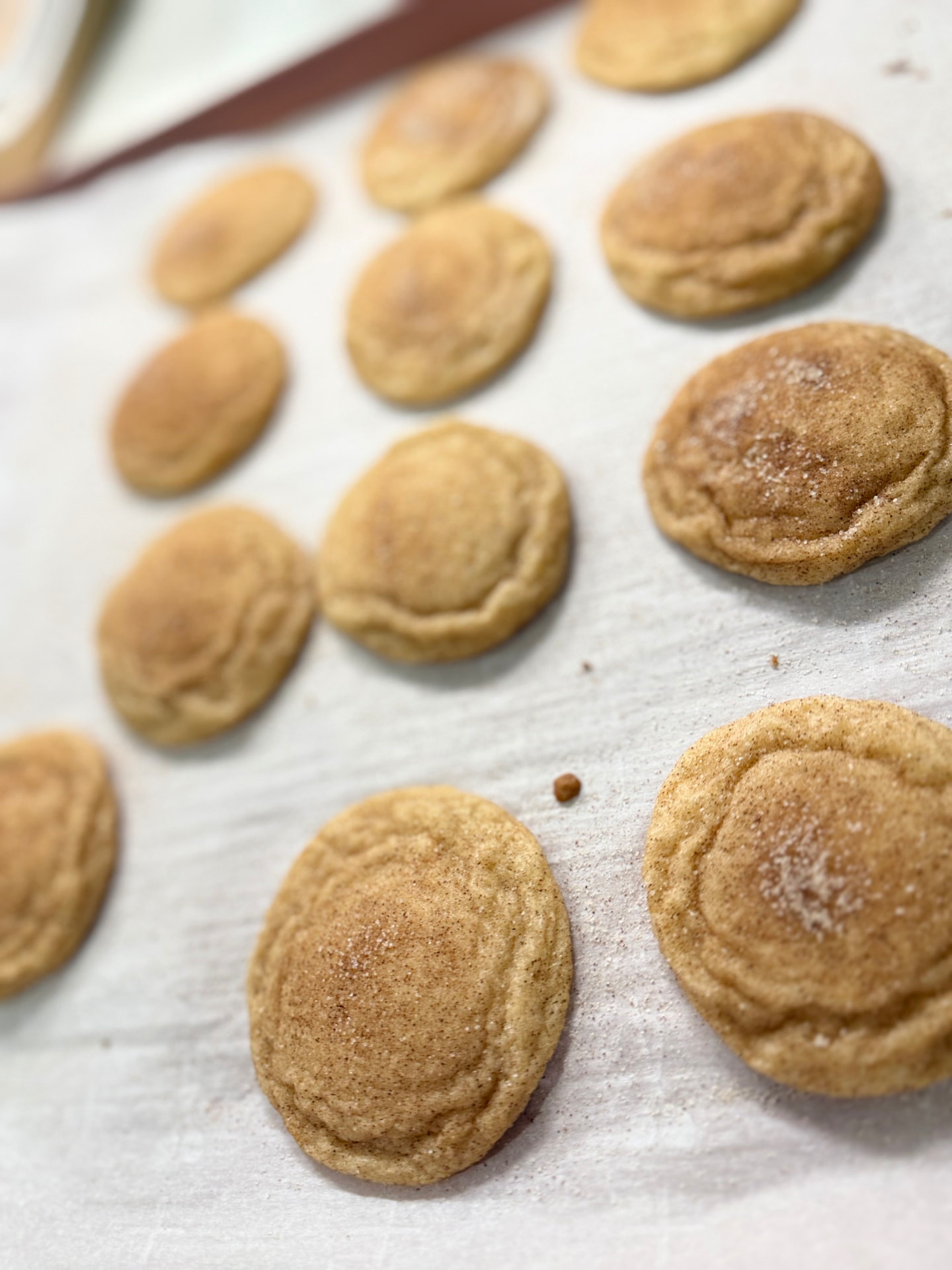 Snickerdoodle Cookies